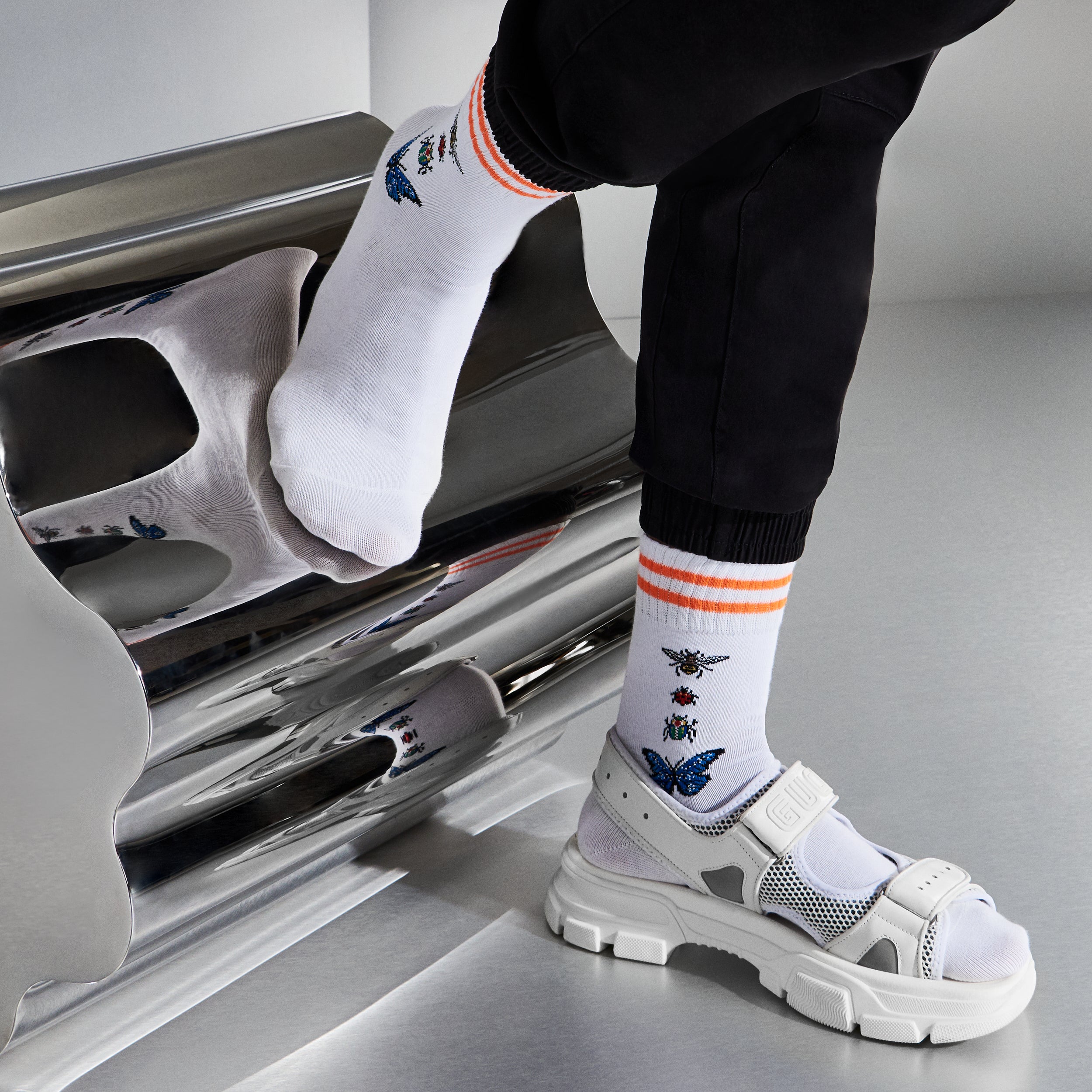 Entomology Cotton  Crew Socks